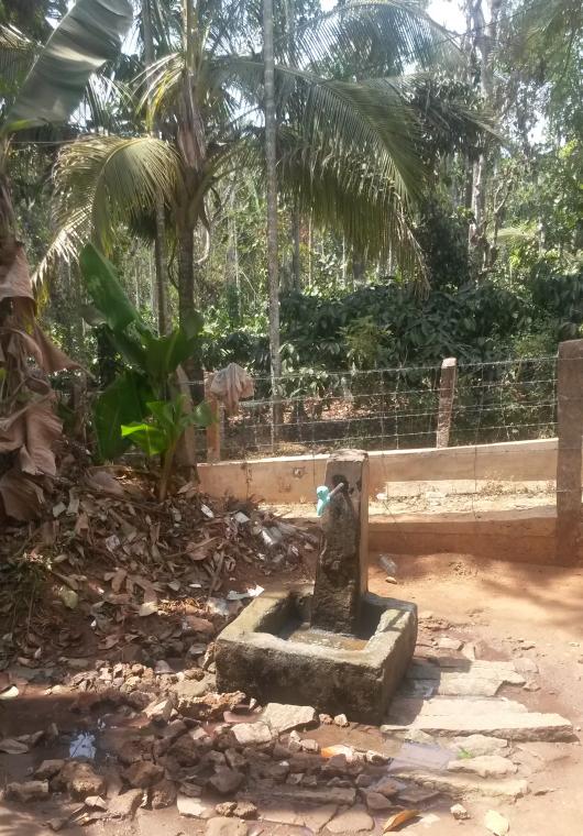 Standpost for the tribal households in Village Nenmeni, Kerala