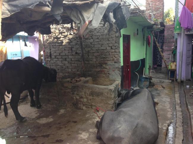 Street scene in India