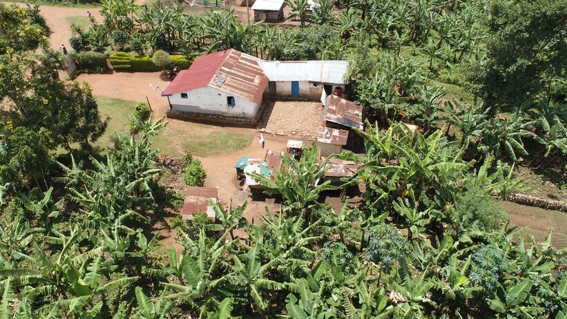 Aerial view of a household in Kicwamba sub county