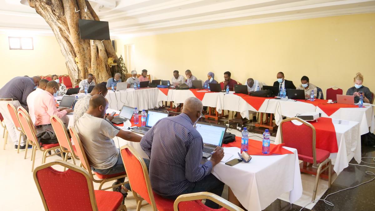 Participants hard at work during the blended learning session in Bishoftu, Ethiopia