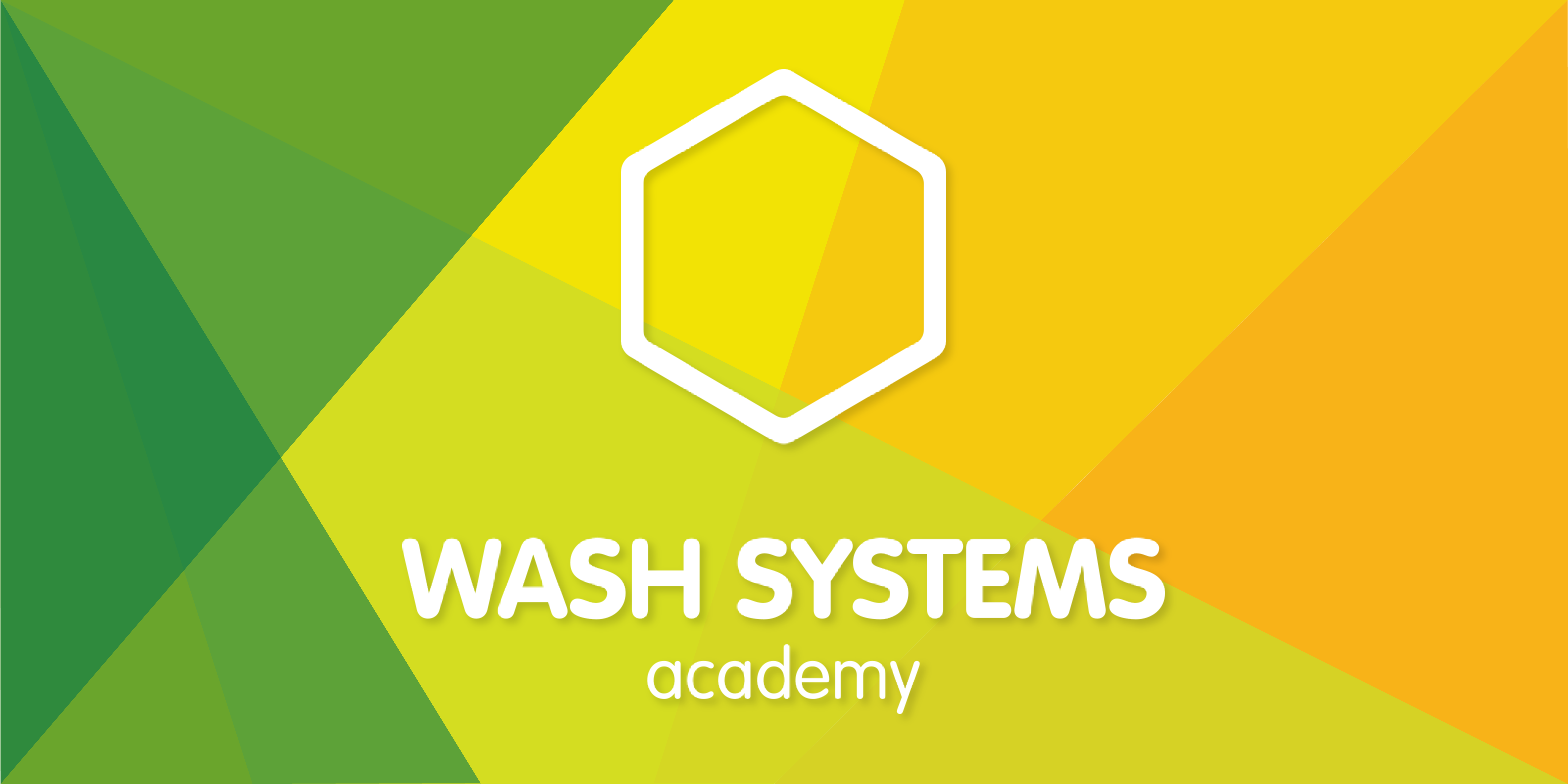 WASH Systems Academy - advocacy course